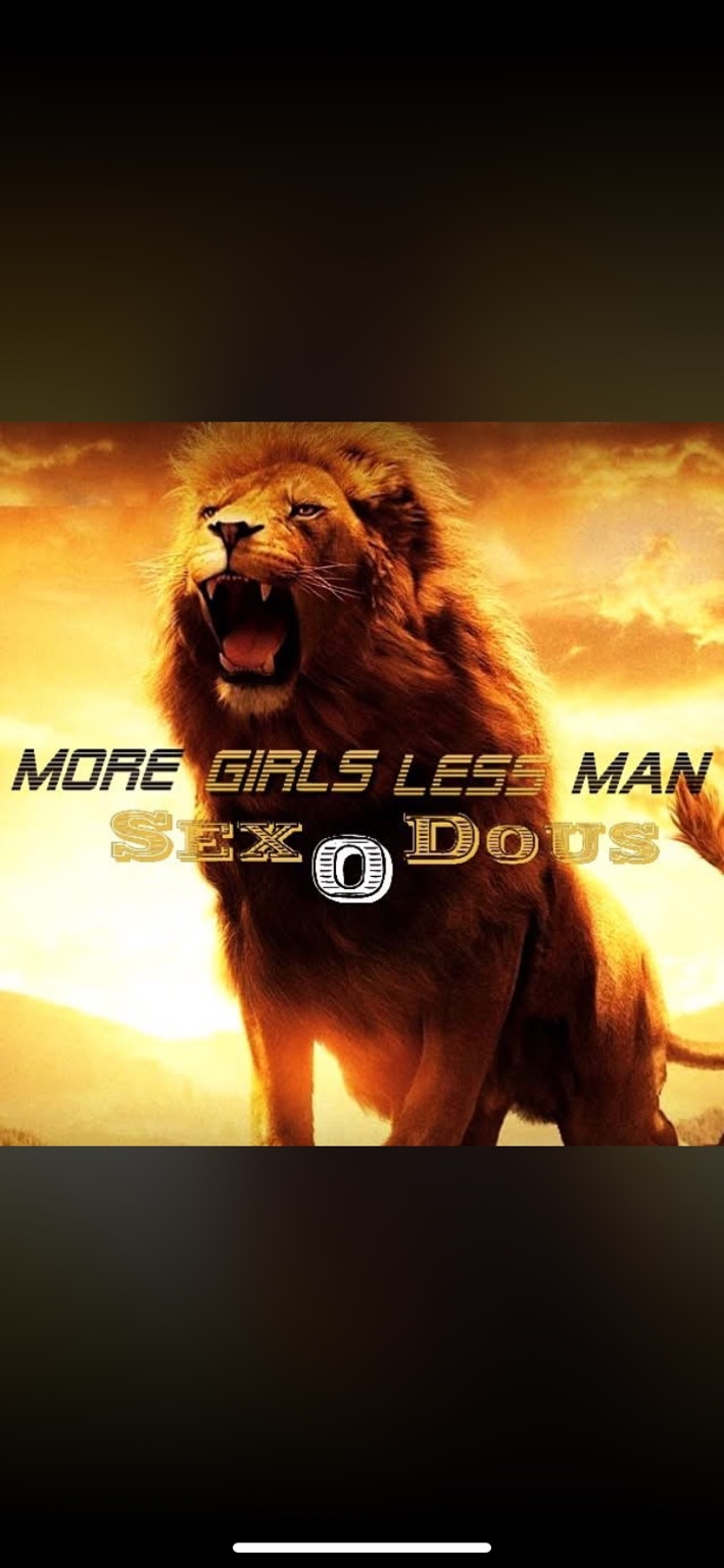 Lion artwork
